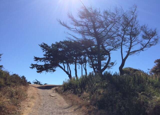 Northwest Herb Symposium